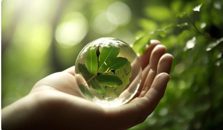 Circular Cities Summit 1.0